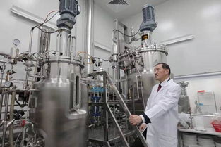 投資迷途 2500萬(wàn)投資續(xù)命藥，兩年市值蒸發(fā)2億美元的警示